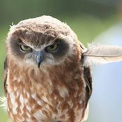 Andrea Huggans's photo
