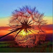 Kristen Abele's photo