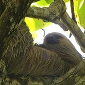 Kris Hansen's photo