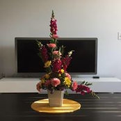 Ana Mercado's photo
