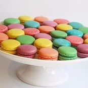 Shiri Netzer's photo