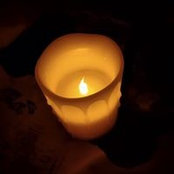 Melissa Dragon's photo