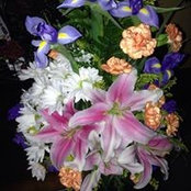 Dianna Johnson's photo