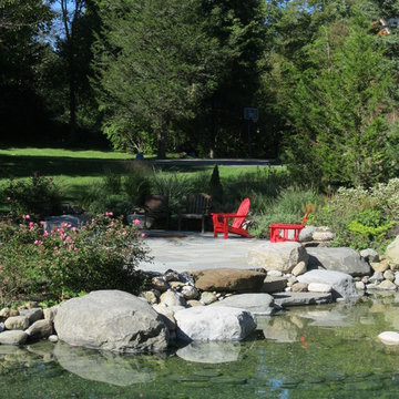 Shelburne Natural Swimming Pond