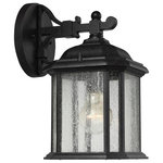 Sea Gull Lighting - Sea Gull Lighting 84029-746 Single-light Outdoor Wall Lantern - One Light Outdoor Wall Lantern in Oxford Bronze FiSingle-light Outdoor Oxford Bronze-Clear  *UL Approved: YES Energy Star Qualified: n/a ADA Certified: n/a  *Number of Lights: Lamp: 1-*Wattage:100w 1 medium 100w bulb(s) *Bulb Included:No *Bulb Type:1 medium 100w *Finish Type:Oxford Bronze