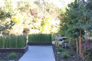 Garten in Sacramento
