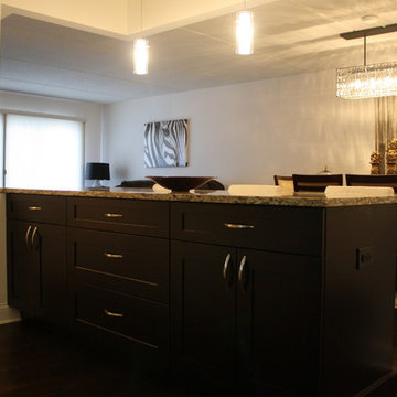 Contemporary Custom Condo