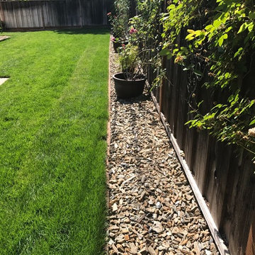 Drought Tolerant Landscape "Zero Scape"