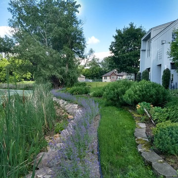 Lakeside Boulders and Planting