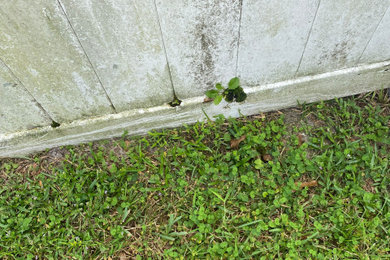 Pressure washing
