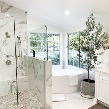 Master Bathroom and Home Remodel