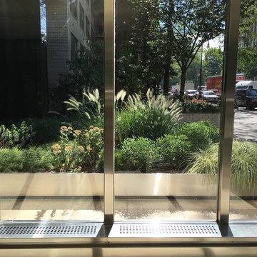 Manhattan Meadow