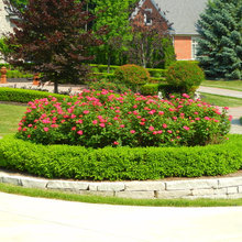 Landscaping Ideas