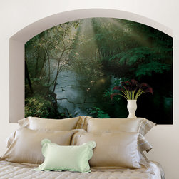 National Geographic Murals - Wall Decals
