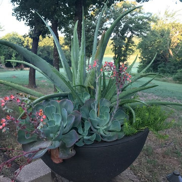 Patio Pots