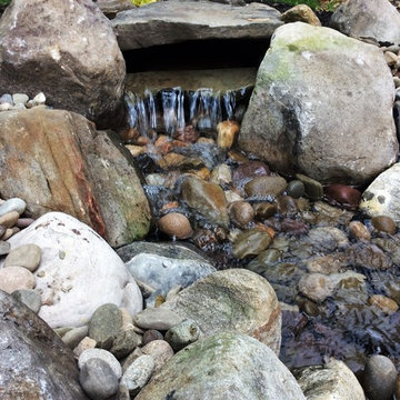 Ponds and Streams