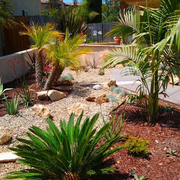 Modern Desert Projects