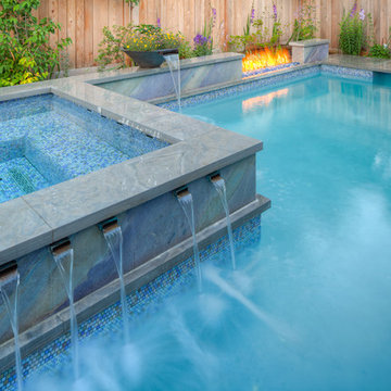 Urban Oasis