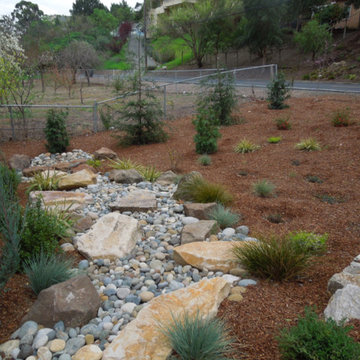 Spacious Frontyard for deer resistant and low maintenance plants in Walnut Creek
