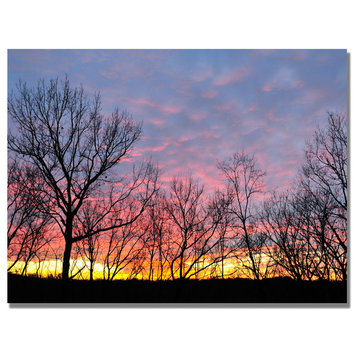 'Winter Sunset' Canvas Art by Kurt Shaffer