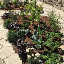 Foxwood garden