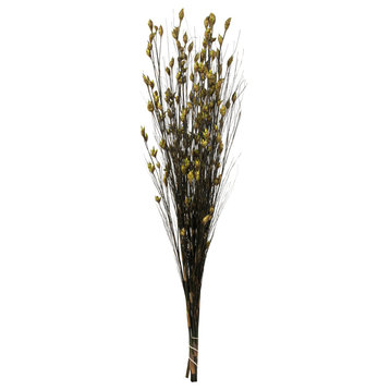 all Natural Bell Grass With Seed Pods, Preserved , Basil, 36-40"