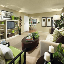 living/family rooms