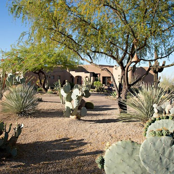 Phoenix Home & Garden - NATURALISTIC DESERT GARDEN