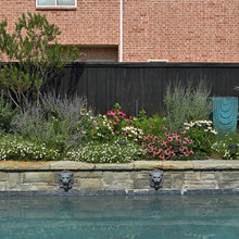 Sacramento Backyard
