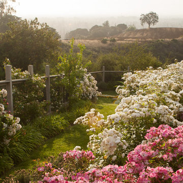 Garden Dialogues: Saratoga, CA