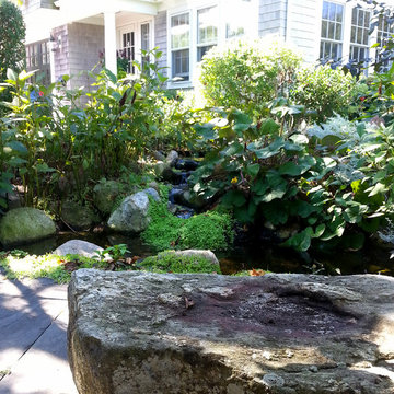 Stone bench and pond