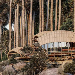 cocoon cabin - Products