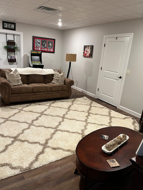 Basement family room