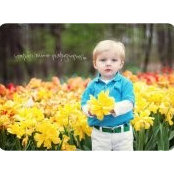 Lee Pengelly's photo