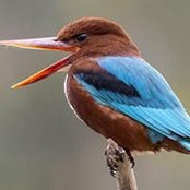 Foto de Waltraud Wiggins
