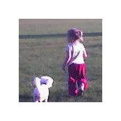 Dawn Ward's photo