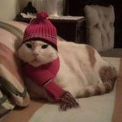 Abigail Bugeja's photo