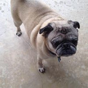 Jeff Wright's photo