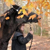 Debbie Evans's photo