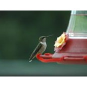 Lynn Lawrence's photo