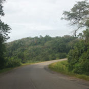 Davis Kayemba's photo