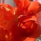 Stacy Tilton's photo