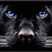 Randell Evans's photo