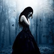Nerissa Fairbotham's photo