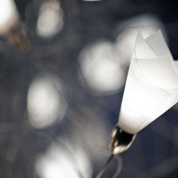 Architectural Lighting - Lighting