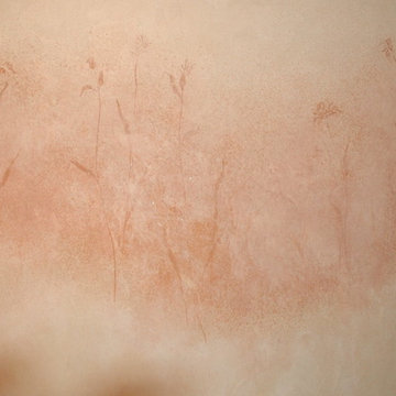 American Clay plaster