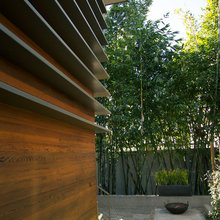 Landscape Ideas