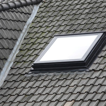 VivaVitro Atelierfenster