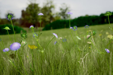 Design ideas for a farmhouse garden in Buckinghamshire.