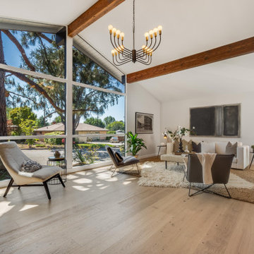 Impressive Mid-Century